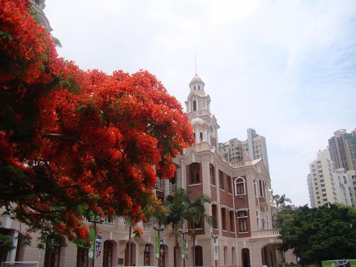 分享香港留學各專業(yè)申請秘籍，您知道嗎？